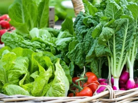 Légumes qui ne s’aiment pas : les pires colocataires du potager