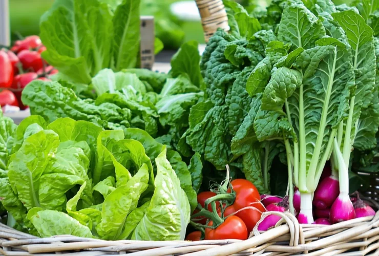Légumes qui ne s’aiment pas : les pires colocataires du potager