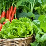 Potager d’été : 4 légumes qui aiment vraiment la chaleur